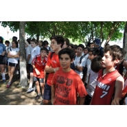 Torneo INTERCURSO - Nivel Secundario